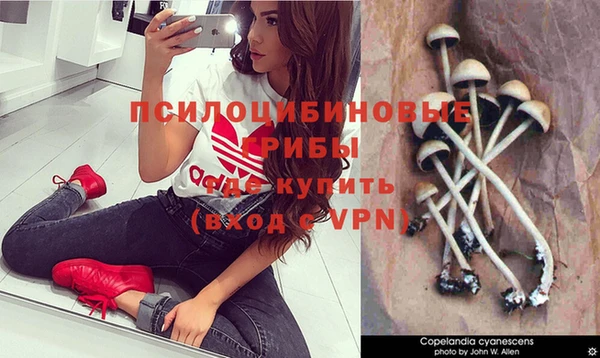 jwh Каменка