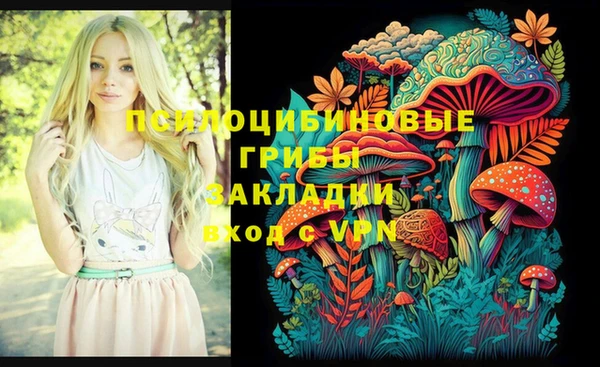 ALPHA-PVP Каменногорск