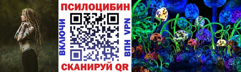 Купить  Западная Двина  Псилоцибиновые грибы прущие грибы 