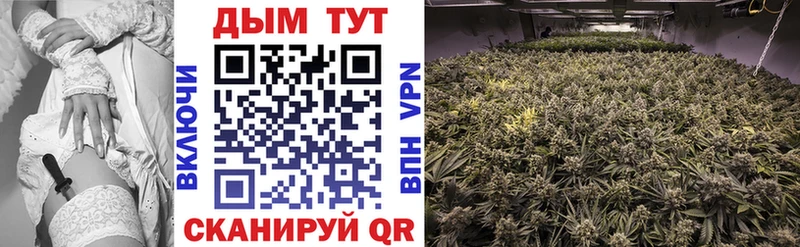 Марихуана Bruce Banner  Купить закладки  Западная Двина 